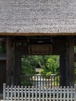 秋深し　北鎌倉の寺院
