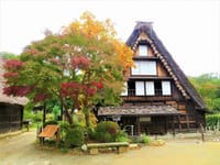 写真３枚は、秋の川崎市立日本民家園