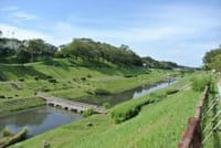 野田・柏・流山の３市を巡る利根運河満喫ハイキング