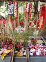 上野にある下谷神社の花手水🌸10月バージョン