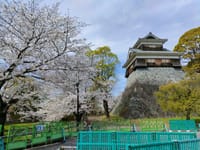 桜の見納めに熊本城へ　　　　　　　田舎暮らし
