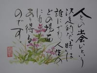 絵手紙・ホトトギスの花