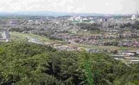 長沼公園～東京薬大薬用植物園～平山城址公園の丘陵ハイキング