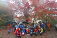 吉野山「高城山の見事な紅葉」