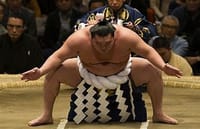 《日本大相撲トーナメント 第四十四回大会》桝席で楽しみましょう