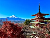 紅葉＋新雪の富士🗻