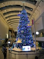 2022年"クイーンズスクエア横浜"「カナデル・クリスマス」光と音でクリスマスツリー演出