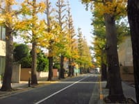 東京の秋の気配
