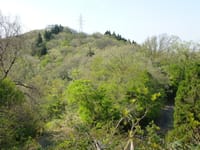 新緑の里山歩き「御前山･559m」富山市大沢野町　4月20日（金）