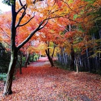 秋の遠足　美浜オレンジラインを歩こう！
