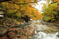 11月１６（土）紅葉の宝川温泉に行きます。