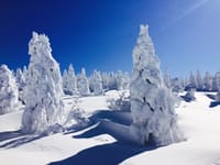 「美しい雪景色の寫眞」