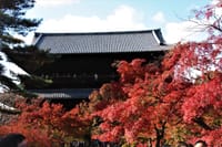 平成最後の紅葉狩りを京都の永観堂で堪能しました。