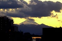 写真３枚は、富士山、筑波山、オナガ