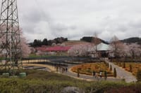 サイドカーで桜を見にその１中之条ガーデン