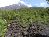 富士山精進湖登山道～スバルライン五合目御中道～奥庭～樹海台周回　　