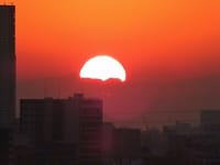 久本山から日の出を撮る、パシフィコ横浜付近のシジュウカラ、等々力競技場に落ちる夕日