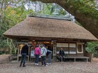 奈良公園 水谷茶屋