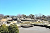 東山植物園【お花畑】リニューアルオープン（3月23日）