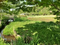 松戸市立「２１世紀の森と広場」自然を守り育てる総合公園に行ってきました