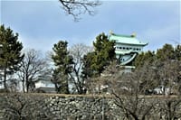 近くて遠い(^_-)-☆　今年初の名古屋城へ・・・