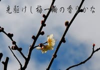 2月のPhoto俳句