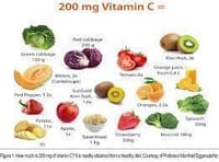 食と健康ブログ１０：Vitamin C　足りてますか？