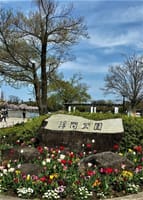 大きな池と桜咲く「浮間公園」で〜お花見(^^)/