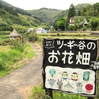 和歌山県広川町「ツーギー谷のお花畑」ツーリング
