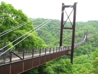 でっかい吊り橋と絶景の「星のブランコ」に行こう！