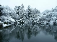 大雪の京都府立植物園