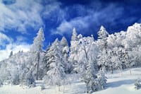 北海道の極寒、２月の風景