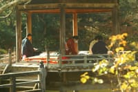 紅葉の成田公園散策とウナギ