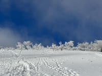 深雪の『藤原岳』❄☃