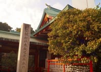 溜池山王を目指す、日枝神社を再訪、７５３に沢山来ていた