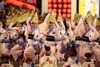 (県外見学不可の為イベント中止)徳島の阿波踊り