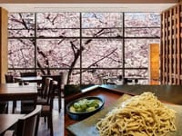 ＜確定＞目黒川の夜桜を愛でながら、蕎麦前で一献