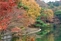 神戸紅葉ハイキング（谷上～森林公園～再度公園～）