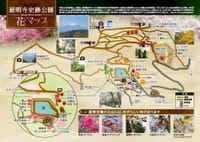 最明寺史跡公園ハイキングOFF