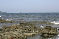 化石の海