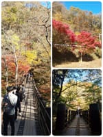 北茨城　花貫街道　汐見の滝吊橋の紅葉