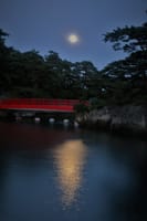 今年も松島にやってくるのは・・・・6月6日がお薦めです。