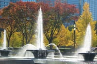 写真は、秋色のパレスホテル付近、東大正門の銀杏並木、皇居北の丸公園の紅葉