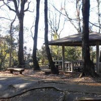 【晴歩】舞岡ふるさとの森～舞岡公園散策　ポツンと一軒家カフェ