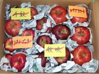 信州から旬のりんごが届きました。