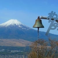 【富士山展望の山】杓子山（しゃくしやま、1598m)・鹿留山（ししどめやま、1632m）で新緑とミツバを楽しみましょう！【初級　体力度5段階の2、技術度5段階の2】