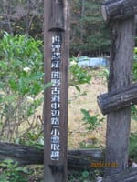 世界遺産「熊野古道」の小雲取越の一部を歩く