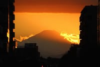 写真３枚は、東久留米駅西口からの夕暮れの富士山、平林寺の紅葉