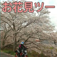 【リベンジ】お花見ツーリング～丹波篠山市春日町まで～