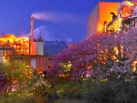 第１７１回撮影会　工場夜景第２弾　桜と富士山と工場夜景